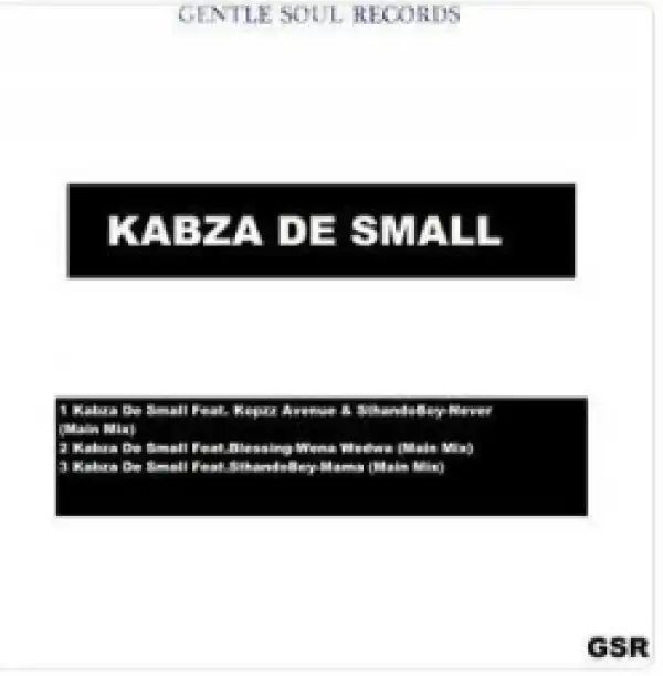 Kabza De Small - Never Ft. Kopzz Avenue & SthandoBoy
